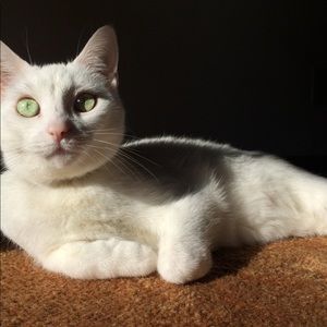 Meet your Posher, Charity